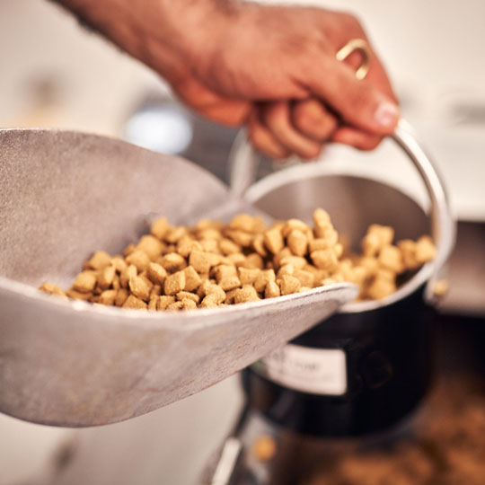 a metal scoop full of pet food