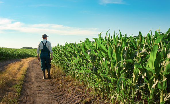 farmer in field