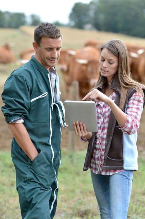 Two farmers in a field with cows in the background looking at an iPad and utilizing ADM Service Apps