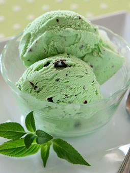A bowl with two scoops of mint chocolate chip ice cream