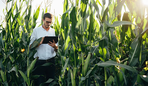 C56 Sustainability grower using technology standing in field