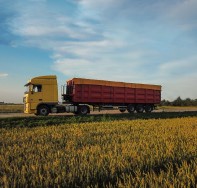 Truck in a corn field