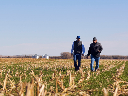 2024 11 17 ADM 2HFALL24 RYE COVER CROP Alt