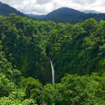 waterfall in jungle